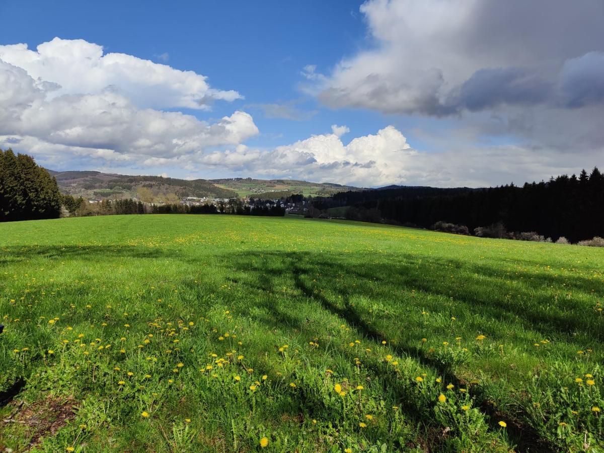 Ferienhaus Am Sauerbrunnen เดาน์ ภายนอก รูปภาพ